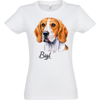 Beagle egyedi névvel Beagle egyedi névvel