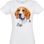 Beagle egyedi névvel