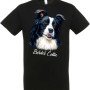 Border Collie - kiárusítás
